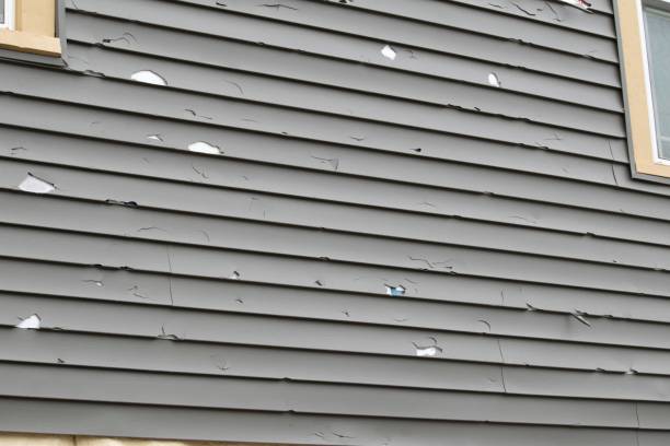 Best Siding for New Construction  in Newton, AL